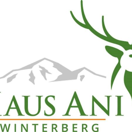 Villa Haus Ani Winterberg Extérieur photo