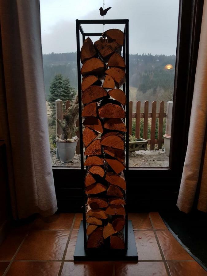 Villa Haus Ani Winterberg Extérieur photo